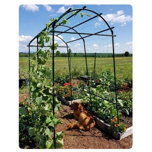 Treillis de jardin pour concombres avec filet d'escalade pour tomates, aubergines et légumes grimpants - Product Image 2