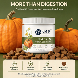 OEM - Golosinas Probióticas para <span class=keywords><strong>Perros</strong></span> con Ingredientes Naturales, Hipoalergénicas y Deliciosas, para la Salud Intestinal, el <span class=keywords><strong>Mejor</strong></span> Suplemento Masticable Diario para <span class=keywords><strong>Perros</strong></span> - Product Image 4