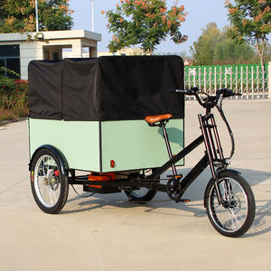 Bicicleta de Carga Eléctrica de 3 Ruedas, Tipo Camión de Carga con Neumáticos Gruesos, 850W, con Caja Trasera, Velomóvil - Product Image 1