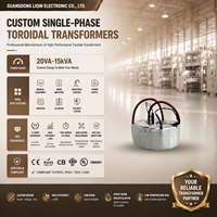 Transformateur de puissance toroïdal pour amplificateur audio, monophasé, entrée 24V 220V, 50/60Hz, noyau en ferrite, OEM personnalisé, CE RoHS, faible MOQ