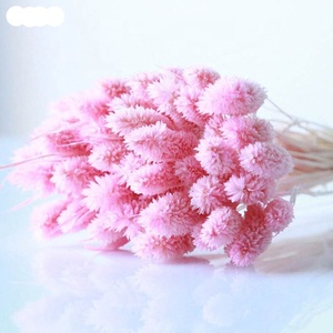 Fleurs séchées biologiques en gros Summer <span class=keywords><strong>Flora</strong></span> pour la décoration intérieure, fleurs de Jewelweed pour la décoration de la maison - Product Image 1