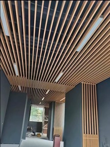 Plafonds en dalles de fibres de verre contemporains, perforés, résistants au feu, insonorisés, pour extérieur - Product Image 6