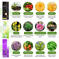 ATOANY Diffuseurs d'aromathérapie aux extraits botaniques purs, stylo diffuseur à base de plantes pour 600 utilisations avec 3 senteurs : Maca, Mulein, Calm