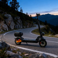 Scooter électrique Citycoco pas cher fabriqué en Chine, pneus larges de 10 pouces, scooter électrique 36V, scooter électrique à 2 roues pour adultes