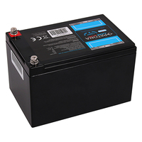 Batterie professionnelle haute efficacité PATONA Platinum LiFePO4 12V 12ah 144Wh 12.000mAh, vente en gros