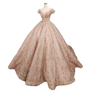 9954 New Lace Applique <b>Cheap</b> Hot Elegant Sequin Long Women Evening Dresses - Product Image 5