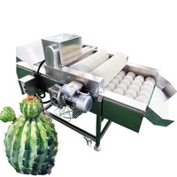 Industriële machine voor het verwijderen van dornen van cactusvijgen, apparatuur voor het ontdoornen en reinigen van cactusvijgen voor voedselverwerking