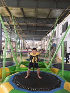 Trong Nhà Và Ngoài Trời Tập Thể Dục Nhà Máy Giá Bán Buôn, Trẻ Em Và Người Lớn Bốn Trong Một <span class=keywords><strong>Bungee</strong></span> Nhảy Dây Thừng Và Khai Thác - Product Image 5