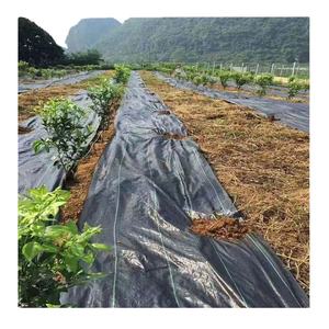 Toile de paillage industrielle tissée en polyester PP anti-herbe pour l'agriculture et l'aménagement paysager, fabriquée en Chine, conforme ISO - Product Image 2