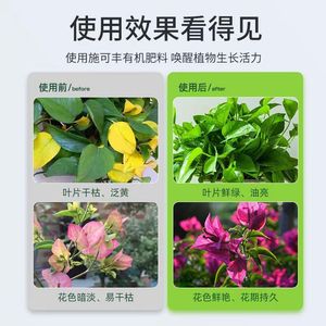 ปุ๋ยอินทรีย์เม็ดแปดโอลด์เมน 500 กรัม สำหรับพืชในร่มและดอกไม้ ใช้ในสวน - Product Image 4