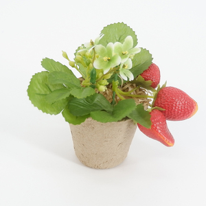 Decorativo <span class=keywords><strong>de</strong></span> frutas <span class=keywords><strong>de</strong></span> fresa <span class=keywords><strong>bonsai</strong></span> se utiliza para la boda, pared <span class=keywords><strong>de</strong></span> flores hogar Decoración <span class=keywords><strong>de</strong></span> la Oficina - Product Image 4