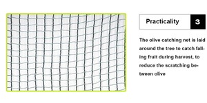 Giá rẻ 100gsm nhiệm vụ nặng nề <span class=keywords><strong>Olive</strong></span> Tree <span class=keywords><strong>Net</strong></span> 6x12 <span class=keywords><strong>Olive</strong></span> thu thập <span class=keywords><strong>Net</strong></span> <span class=keywords><strong>Olive</strong></span> thu hoạch <span class=keywords><strong>Olive</strong></span> lưới - Product Image 6