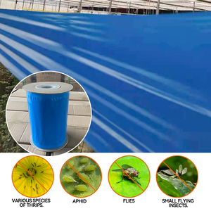Giá rẻ thân thiện với môi trường keo hai mặt màu vàng dính bẫy cuộn loại cho côn trùng, bẫy bay cho nông nghiệp - Product Image 3