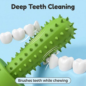 Cepillo de Dientes para Perros Personalizado 2027, Juguete Masticable para Limpieza Dental, Juguete para Mascotas, Venta al por Mayor, Juguetes Resistentes para Masticadores Agresivos, Cactus - Product Image 4