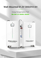 Batterie solaire hybride murale LiFePO4 51,2 V 314 Ah 10-20 kW, dernière conception d'usine, qualité supérieure, neuve