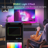 Synchronisation de la rétroéclairage LED pour téléviseurs de 55 à 65 pouces, RGBICW, Wi-Fi, guirlandes lumineuses, caméra, 4 couleurs, PCB noir, IP65, utilisation en extérieur, commande vocale, application