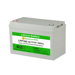 Alto rendimiento de descarga de 12 voltios 24 v 48v 48v baterías de litio de lifepo4 100ah 12 v para Ebike