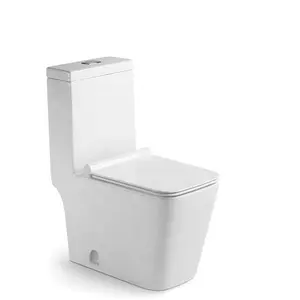 Factory Direct Sale 1 Piece Ceramic Wc Toilet Good Quality Bathroom Sanitary Ware Siphonic S-trap Toilets