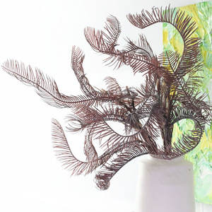Arbre de fer simulé fleur artificielle feuilles de fougère en plastique fleur éternelle décoration Arrangement conception florale mise en scène - Product Image 1