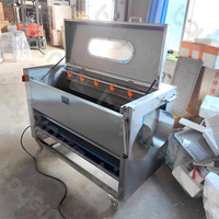 Machine à Laver et Éplucher les Pommes de Terre, Manioc, Patates Douces, Carottes, Betteraves – Éplucheuse à Brosse Professionnelle