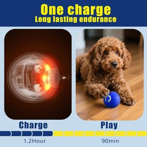 Jouet interactif intelligent pour chien et chat, balle en plastique et silicone rechargeable, entraînement automatique 360°, moderne, sportif, durable, chargeur USB - Product Image 4