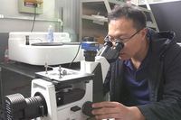 Charnière sismique UTT12 ultra-résistante pour la soutènement latéral et longitudinal, trou pré-percé de 14 mm pour bâtiments commerciaux et installations d'agencement mécanique et électrique (AMEC)