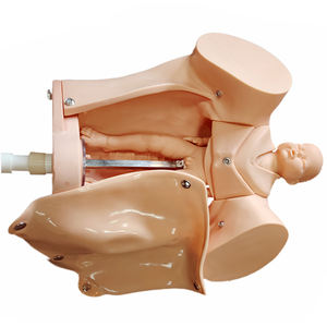 Modèle médical scientifique de machine d'accouchement rotative manuelle DARHMMY pour le contrôle des naissances maternelles et infantiles - Product Image 3