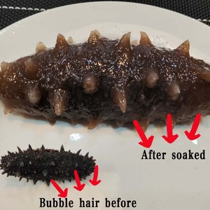 Высококачественный сушеный замороженный лысый морской огурец свежий стиль лучшие рыночные цены натуральный оптовик упаковка - Product Image 5