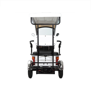 Everbright - Scooter Eléctrico Barato <span class=keywords><strong>en</strong></span> Oferta, Bicicleta Motorizada, Triciclo <span class=keywords><strong>con</strong></span> <span class=keywords><strong>Motor</strong></span> sin Escobillas, Carrocería Abierta, 351-500W, Batería de Plomo-Ácido de 48V - Product Image 4