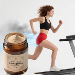 Hoge Kwaliteit <span class=keywords><strong>Ashwagandha</strong></span> 100% Biologische Puur Natuurlijke Leverancier Van <span class=keywords><strong>Ashwagandha</strong></span> Poeder Tegen Bulk Groothandelsprijs <span class=keywords><strong>Ashwagandha</strong></span> Extract - Product Image 6