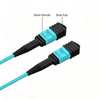 Câble à fibres optiques multimode 12 cœurs MTP vers LC avec faisceau de dérivation en ligne pour câblage réseau haute densité de centre de données