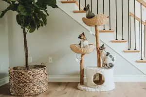 Menara pohon kucing kayu alami, untuk tempat menggaruk kucing besar tahan lama