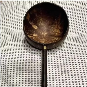 Coconut Shell Masala <b>Spoon</b> Natural Handmade Spice <b>Measuring</b> <b>Spoon</b> Eco Kitchen Utensils - Product Image 1