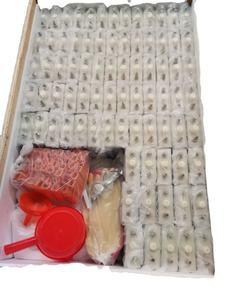 GN80 1.2v 80ah <span class=keywords><strong>ni-cd</strong></span> alkalische wiederauf ladbare Nickel-Cadmium-Batterie - Product Image 5