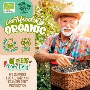 Yüksek kaliteli organik 10 Microgreens bahçe çantası paket bitki yetiştirme kiti brokoli içerir maş fasulyesi İsviçre Chard buğday büyümek - Product Image 2