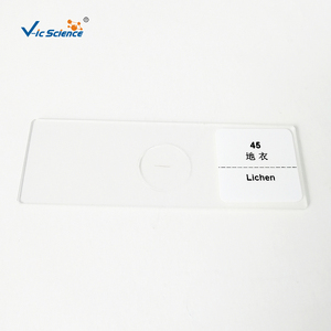 Lot de 12 Lames Préparées de <span class=keywords><strong>Champignons</strong></span> pour Microscope – Prix Usine - Product Image 1