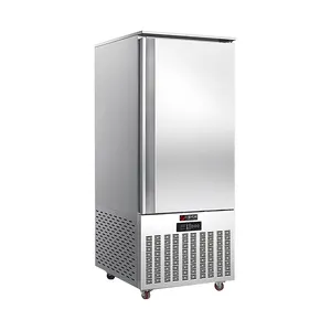 CS-15P ristorante di lusso frigorifero-acciaio inossidabile caldo, eccellente per l'acquisto con Design Deluxe
