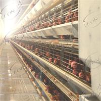 Cage à poules pondeuses automatique de type H à bas prix pour poulailler