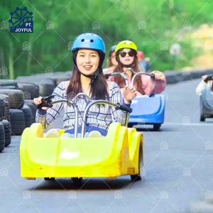 รถลูจดาวน์ฮิลล์สีสันตามสั่งสำหรับสวนสนุก - Product Image 4