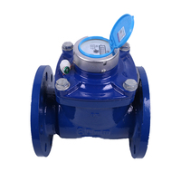 Compteurs d'eau prépayés Woltmann Dry Detachable Schlumberger
