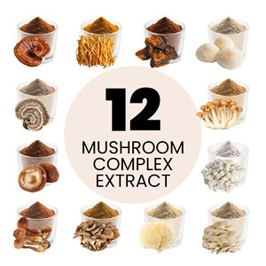 Qinshantang 이중 추출 사자의 갈기 동충하초 40% 다당류 두뇌 초점 에너지를위한 버섯 추출물 분말 - Product Image 1