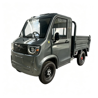 Camionnette électrique homologuée L6e, batterie 72V, 3000W, pour le transport en entrepôt