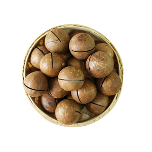 Hạt mắc ca chất lượng cao, vị ngọt sữa, ép tay, trái cây sấy khô, chế biến thô, bán sỉ - Product Image 3