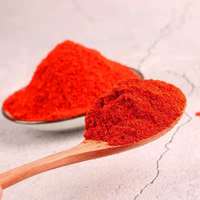 Fournisseur d'épices en gros : Épices naturelles très demandées – Piment rouge et poudre de paprika douce et séchée