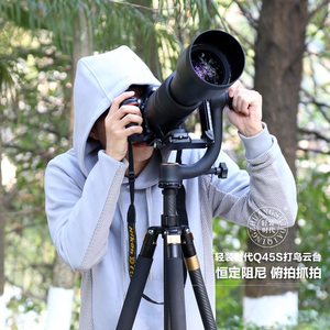 Support d'objectif téléobjectif pour photographie d'oiseaux avec perche panoramique et tête de trépied à cantilever pour observation des oiseaux - Product Image 3