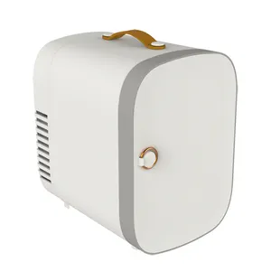 Petit réfrigérateur électrique AC DC personnalisé de 4 litres Mini réfrigérateur portable à semi-conducteur pour maquillage Chambre Maison Voiture Chambre Hôtel