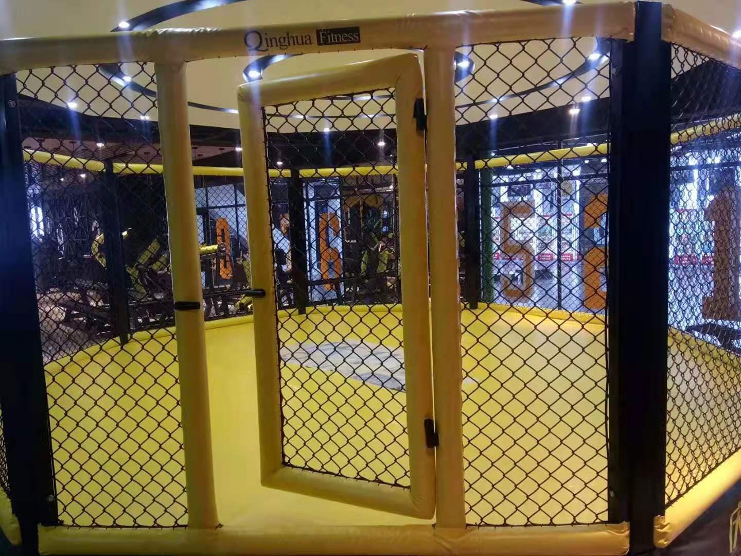 Professional Wrestling Steel Cage 6mx6m MMA UFC Octagon