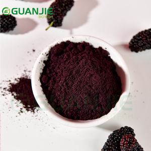 Высокочистый сублимированный порошок плодов шелковицы, 100% натуральный чистый порошок шелковицы - Product Image 1