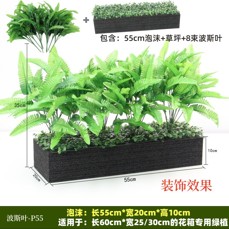 La feuille persane P55 convient aux jardinières de 60 cm