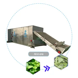 Industriële Doorlopende Gaasband Dehydrator Groente-En Fruitdroogmachine Thee Moringa Bladdrogermachine